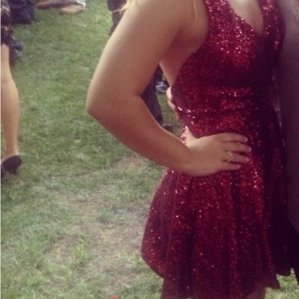 Windsor Sparkling Burgundy Mini Dress